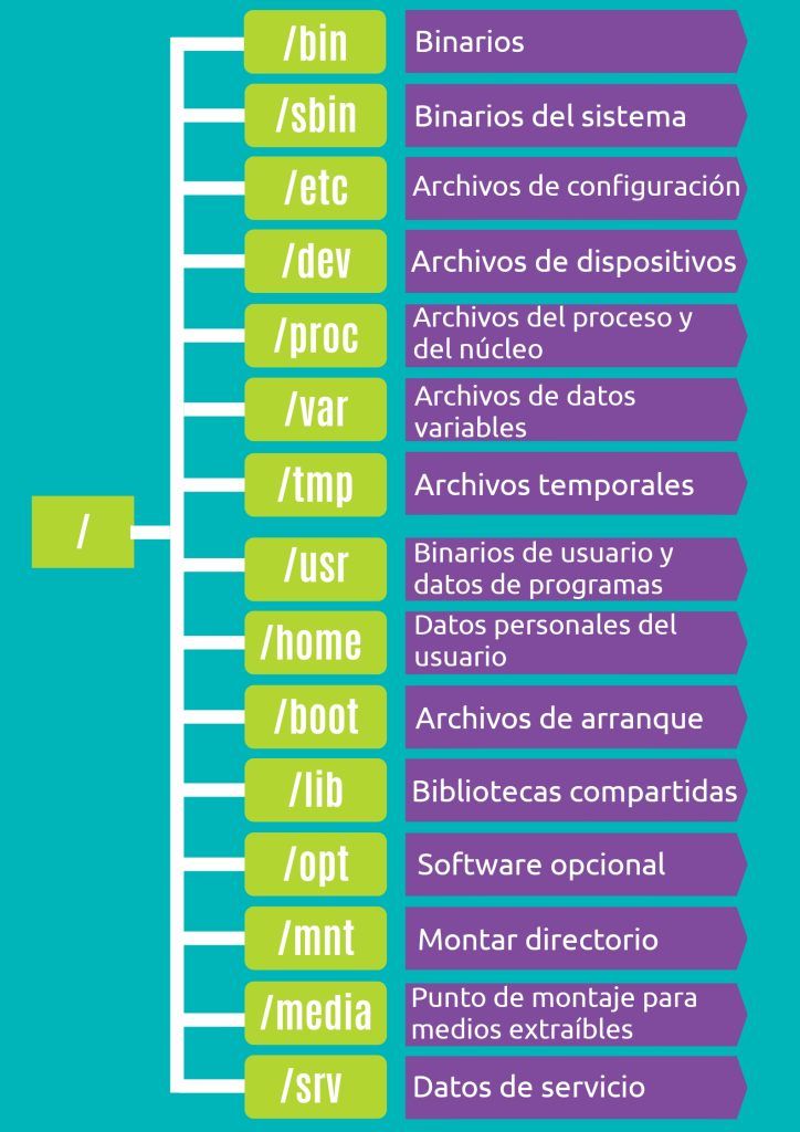 Estructura de archivos