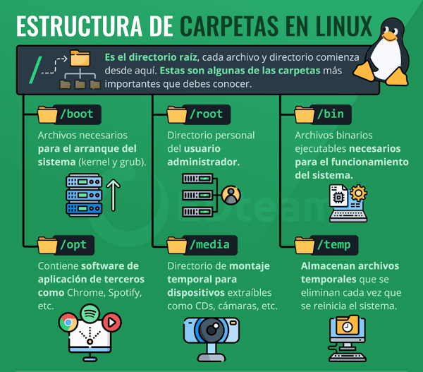 Estructura de archivos