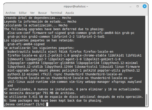 Terminal actualiza repositorios